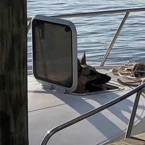 Meet your Posher, Brandy